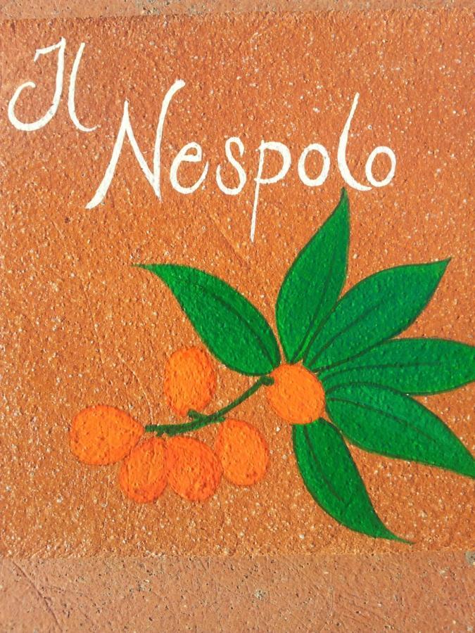 Appartamento Il Nespolo Pomonte Kültér fotó